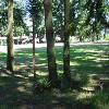 Park area